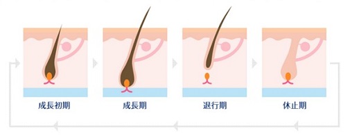 STLASSH�ɂ���