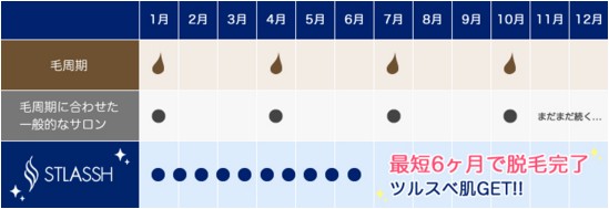 STLASSH�ɂ���