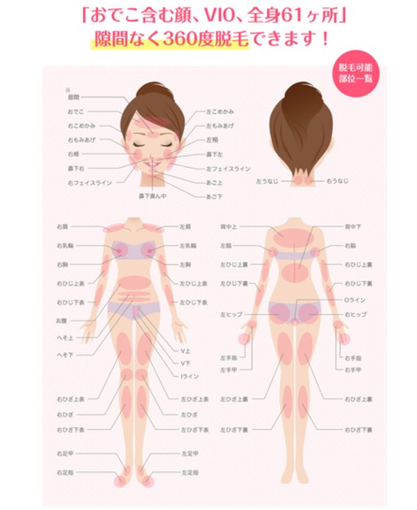 STLASSH�ɂ���